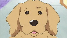 Épisode 8