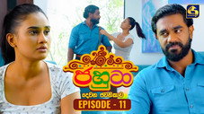 Épisode 11
