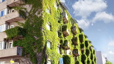 Urbanisme : Plus belle la ville
