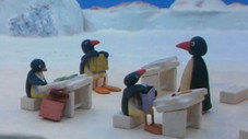 Pingu à l'école