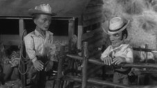 Épisode 33
