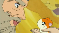 Le docteur Lion