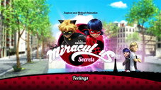 Miraculous Secrets: Feelings