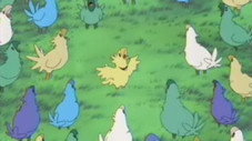 Ciel - Le départ du Chocobo
