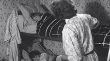Les Locataires de l'escalier 15