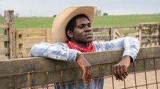 O cowboy