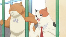 Épisode 13