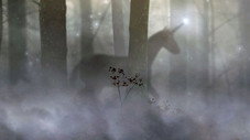 À quoi nous sert l'imagination ?
