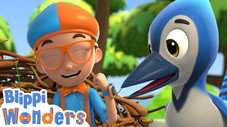 Blippi Learns How To Build A Birds Nest!