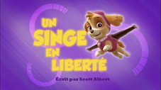 Un Singe en liberté
