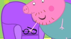 Papa Pig a perdu ses lunettes
