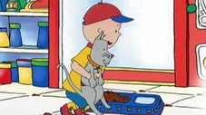 Caillou cherche Gilbert