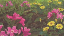 Le printemps de ses quinze ans