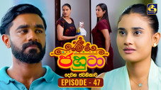 Épisode 47