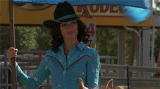 Sweetheart of the Rodeo