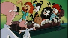 Les Pupuces à poi-poils
