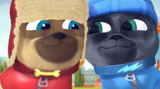Les chiots plongeurs