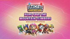 Ultimate Rescue: Pups Save the Mountain Climbers
