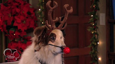 Premier noël