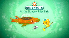 Le poisson pilote