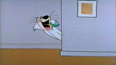 Un chat à la TV