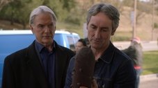 Episódio 17