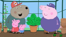 Grandpa Pig's Greenhouse