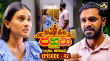 Épisode 42