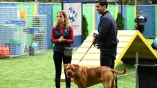 Um Cão Pra Vida