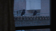 Épisode 12