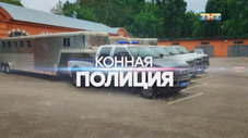 Épisode 4