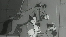 Épisode 41