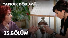 Épisode 35