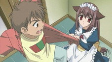 Épisode 5