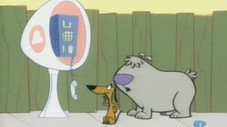 Épisode 16