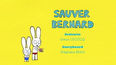 Sauver Bernard