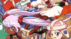 Born! Candidate for Platina Princess