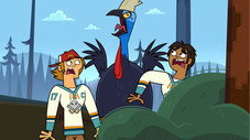 Épisode 7