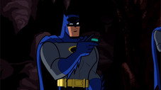 A Bat Divided!