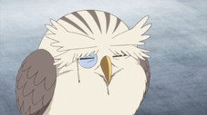 Épisode 11