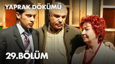 Épisode 29