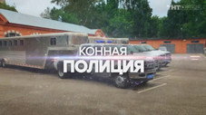 Épisode 12