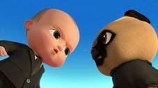 Festa dos cãezinhos
