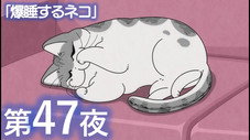 Épisode 47
