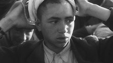 Terrorismes et guérilla