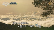 Épisode 7