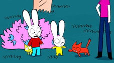 Le Petit Chat