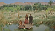 Épisode 61