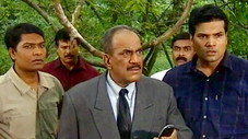 Épisode 240