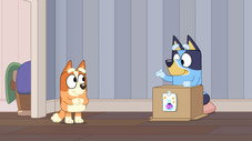 Épisode 13